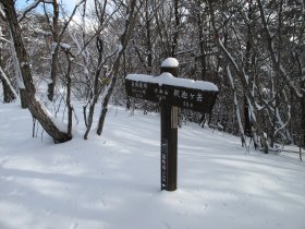 稜線から離れる