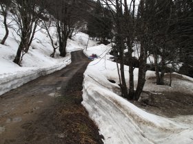 林道合流点