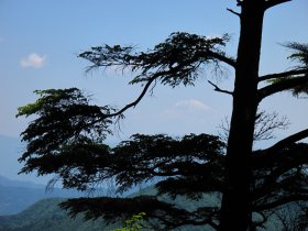 富士山見納め