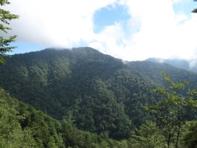 麻布山が見えたぞ