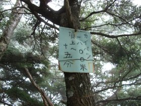 青薙