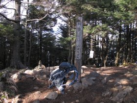 飛龍山山頂