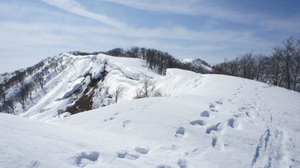 滋賀県境の雪庇