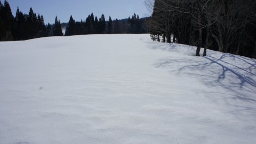 ゲレンデのような雪原